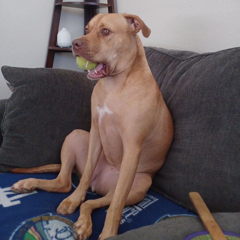 COME VISIT MY NANA CLOSET NOTHING OVER $7.00